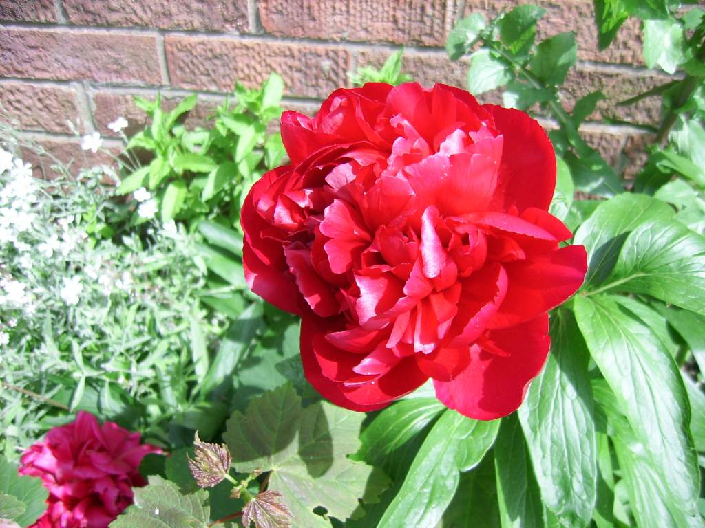 Click now to see this image full size.