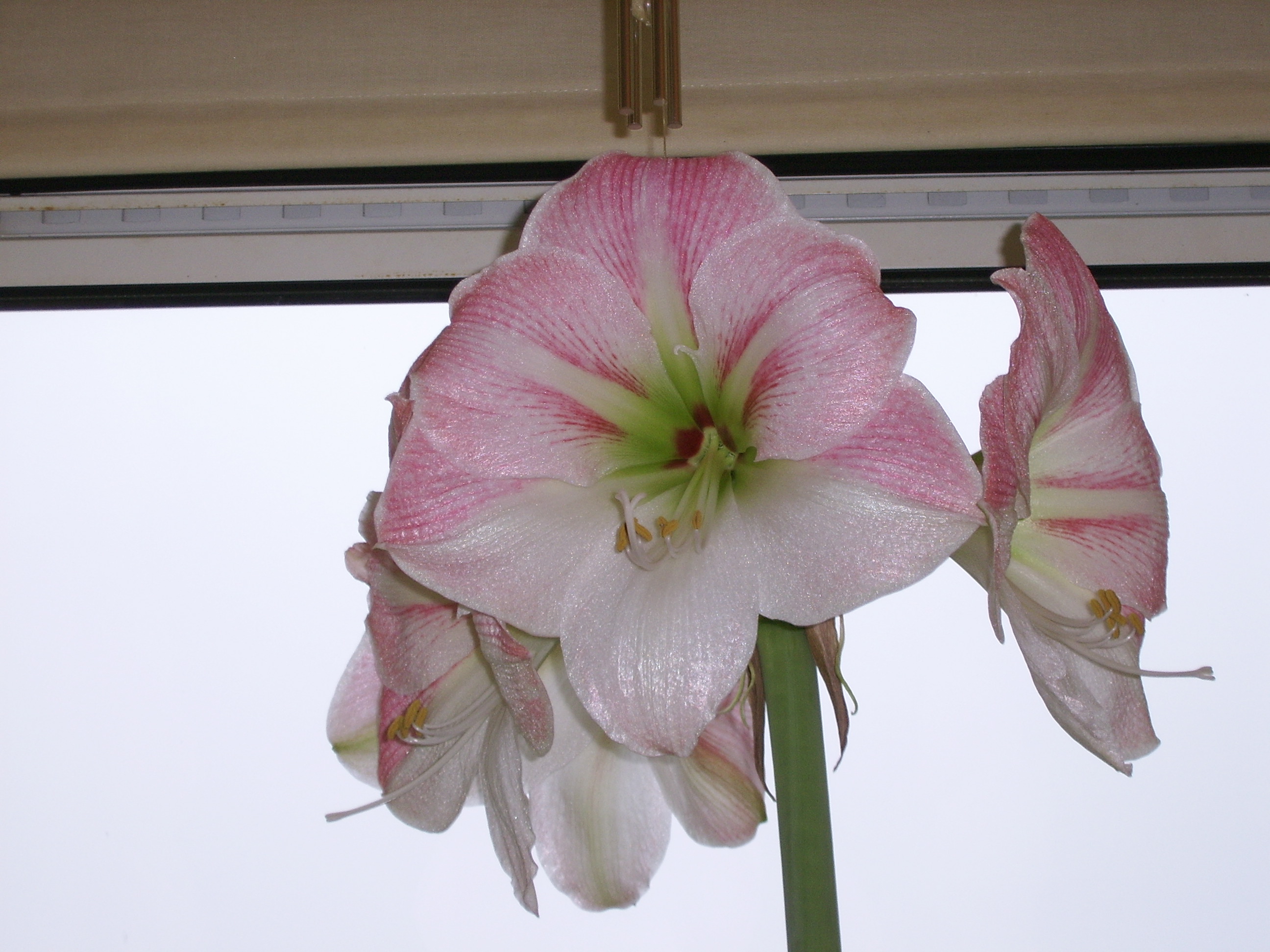 Click now to see this image full size.