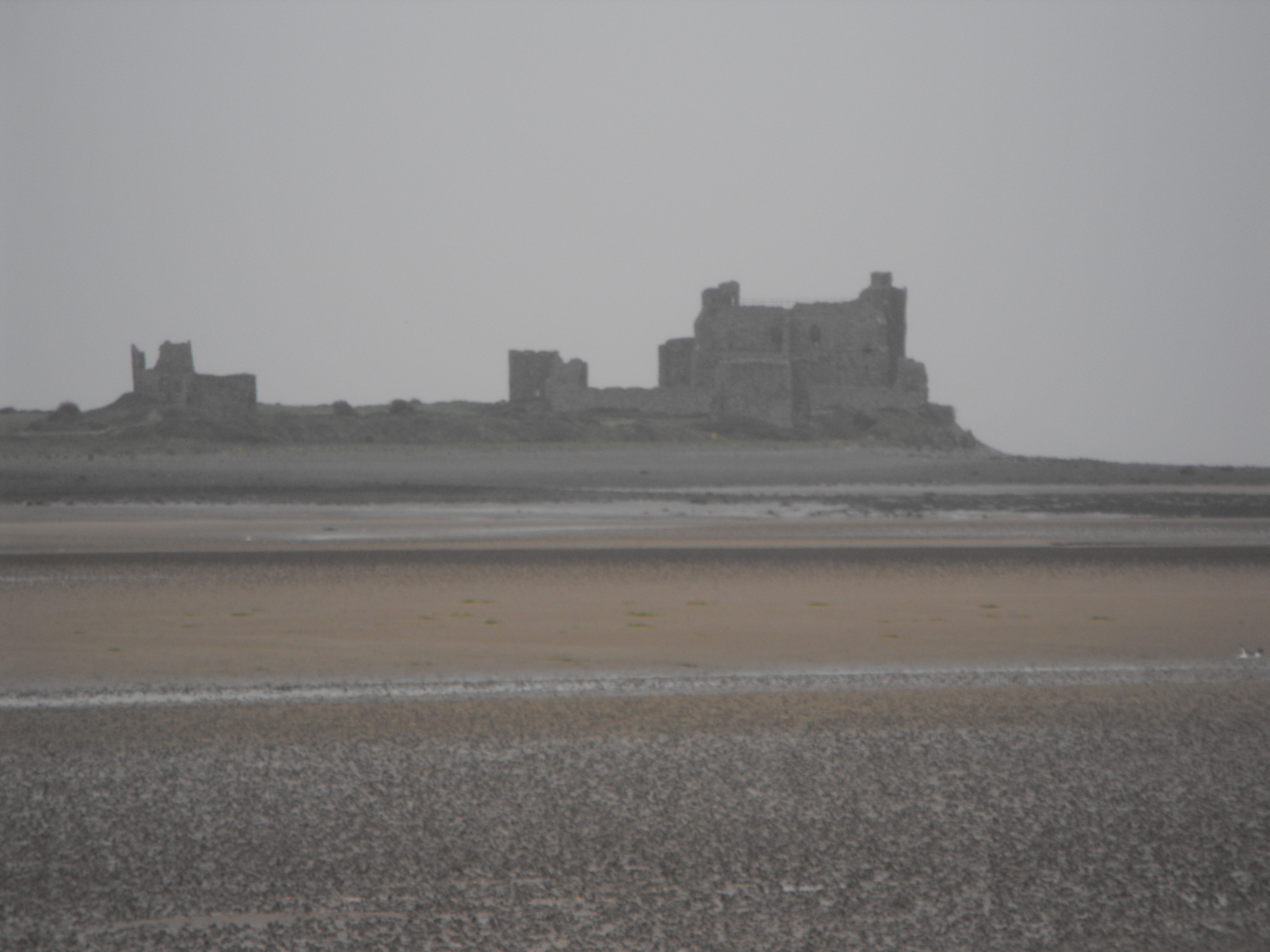 Click now to see this image full size.