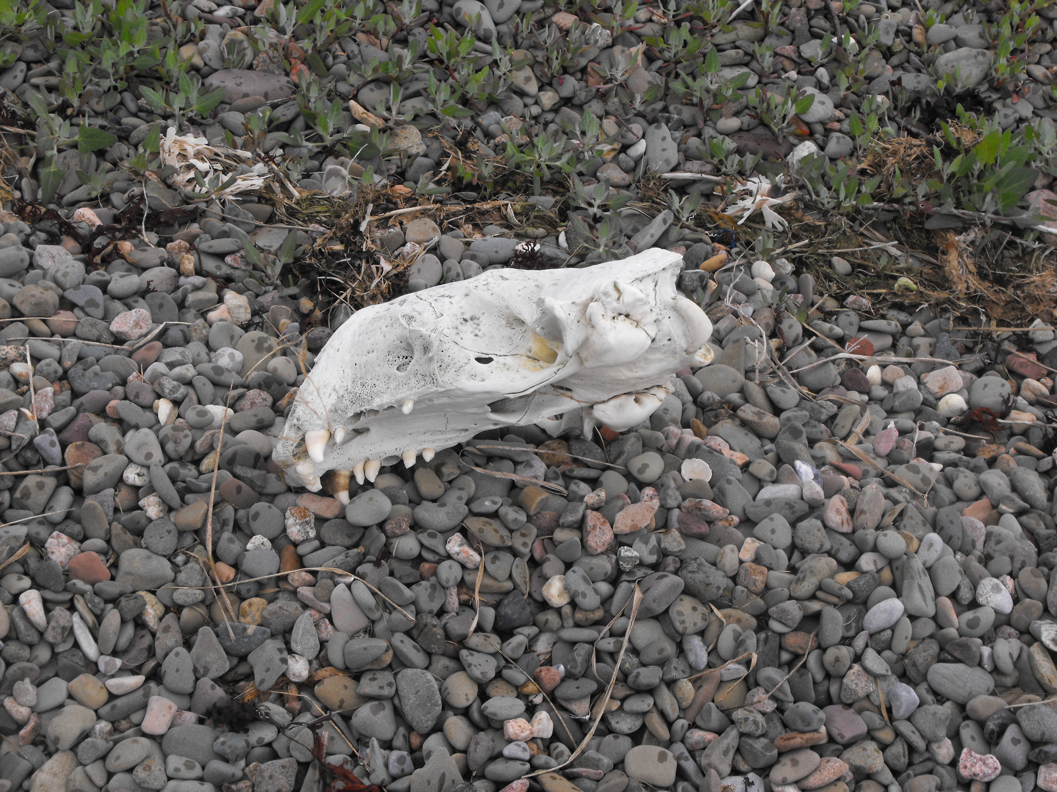 Click now to see this image full size.