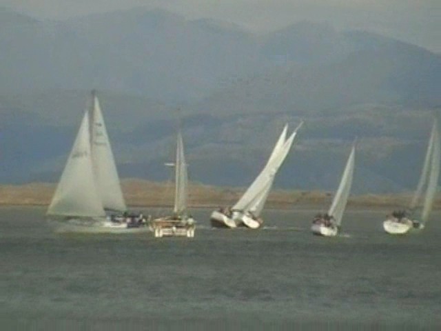 Click now to see this image full size.