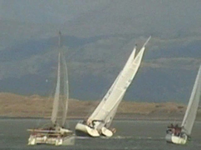 Click now to see this image full size.