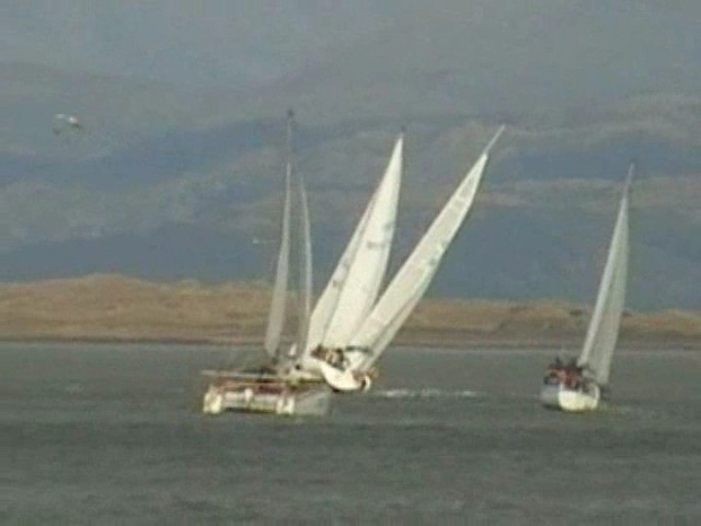 Click now to see this image full size.