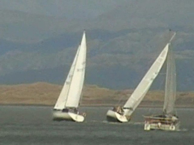 Click now to see this image full size.