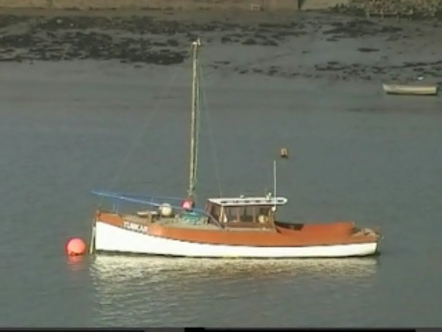 Click now to see this image full size.