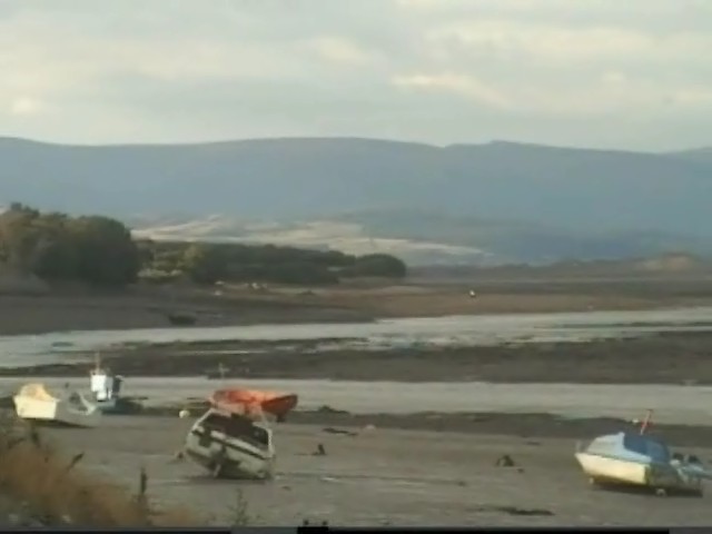 Click now to see this image full size.