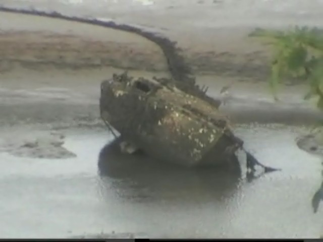 Click now to see this image full size.