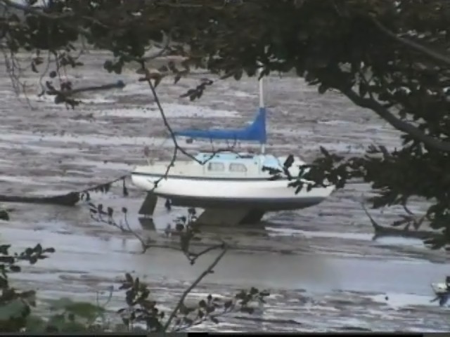 Click now to see this image full size.