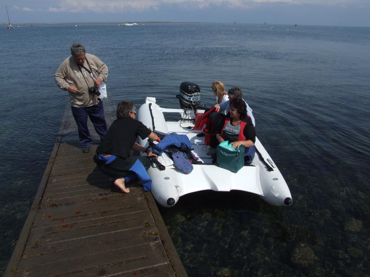 Click now to see this image full size.