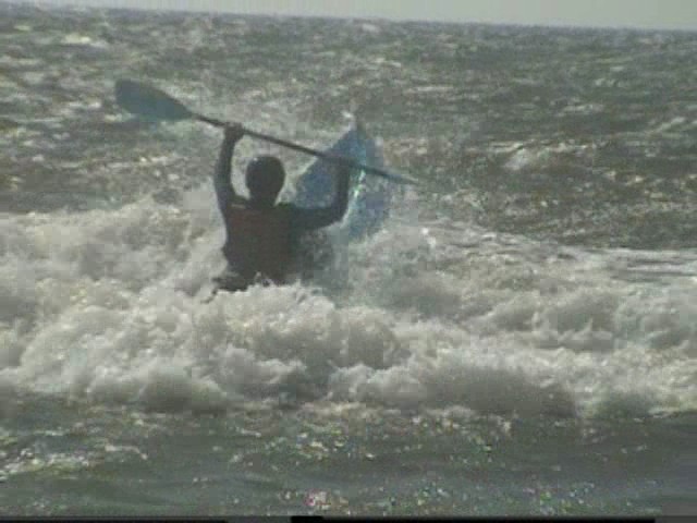 Click now to see this image full size.