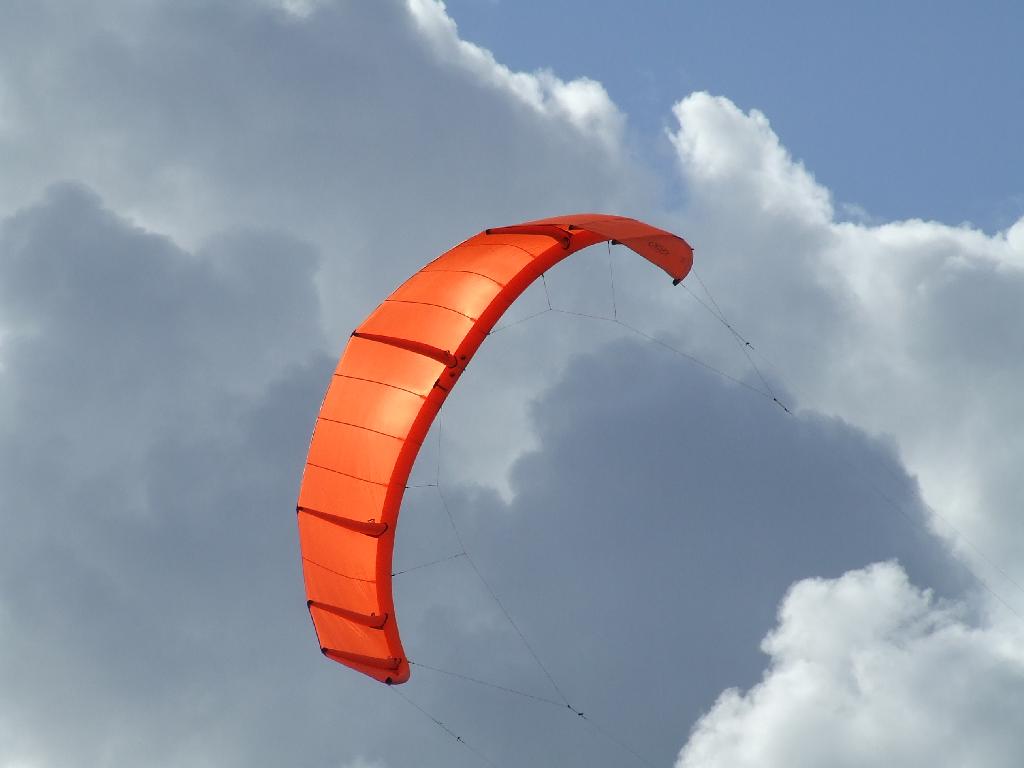 Click now to see this image full size.