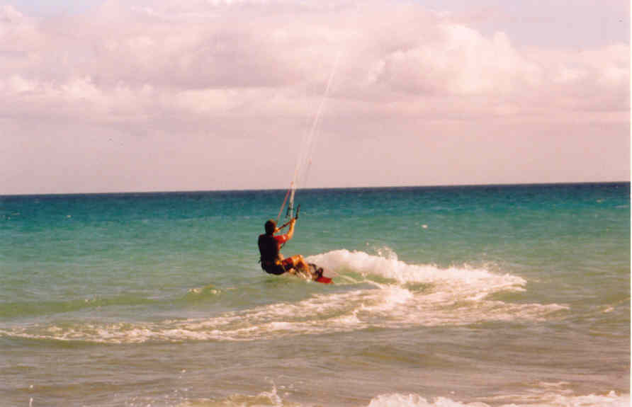 Click now to see this image full size.