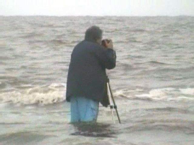 Click now to see this image full size.