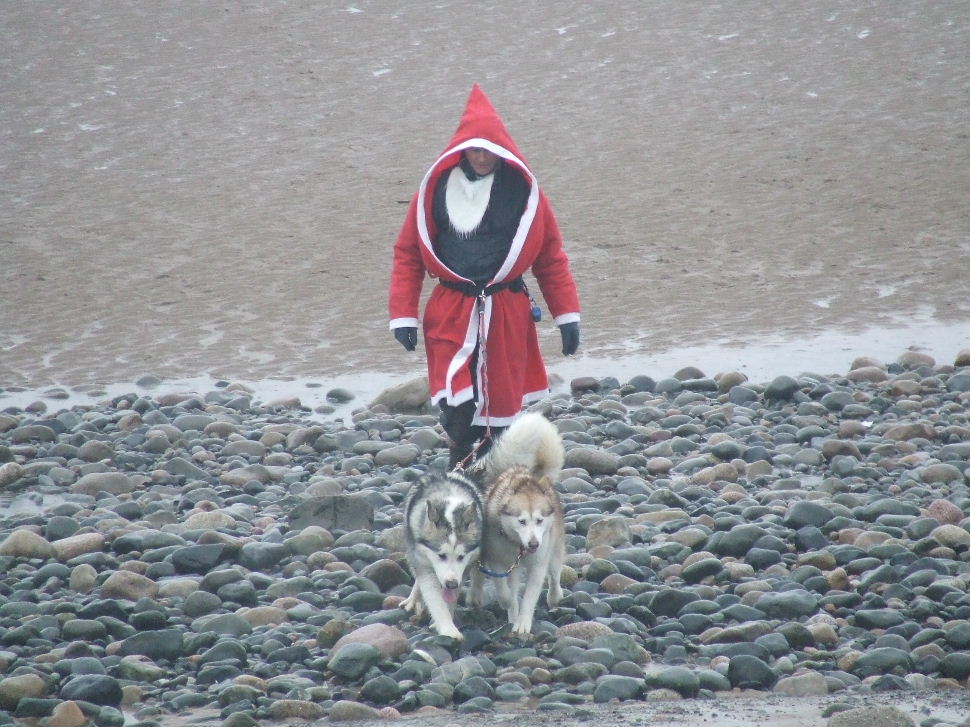 Click now to see this image full size.