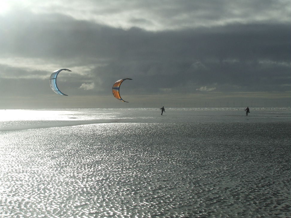 Click now to see this image full size.