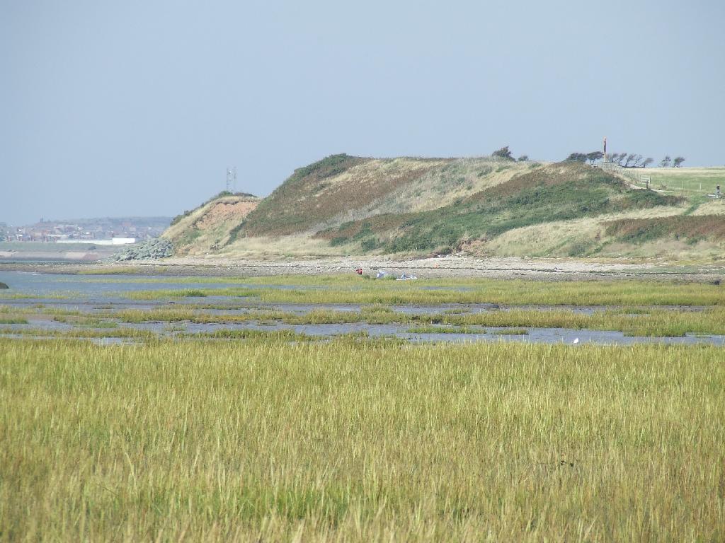 Click now to see this image full size.