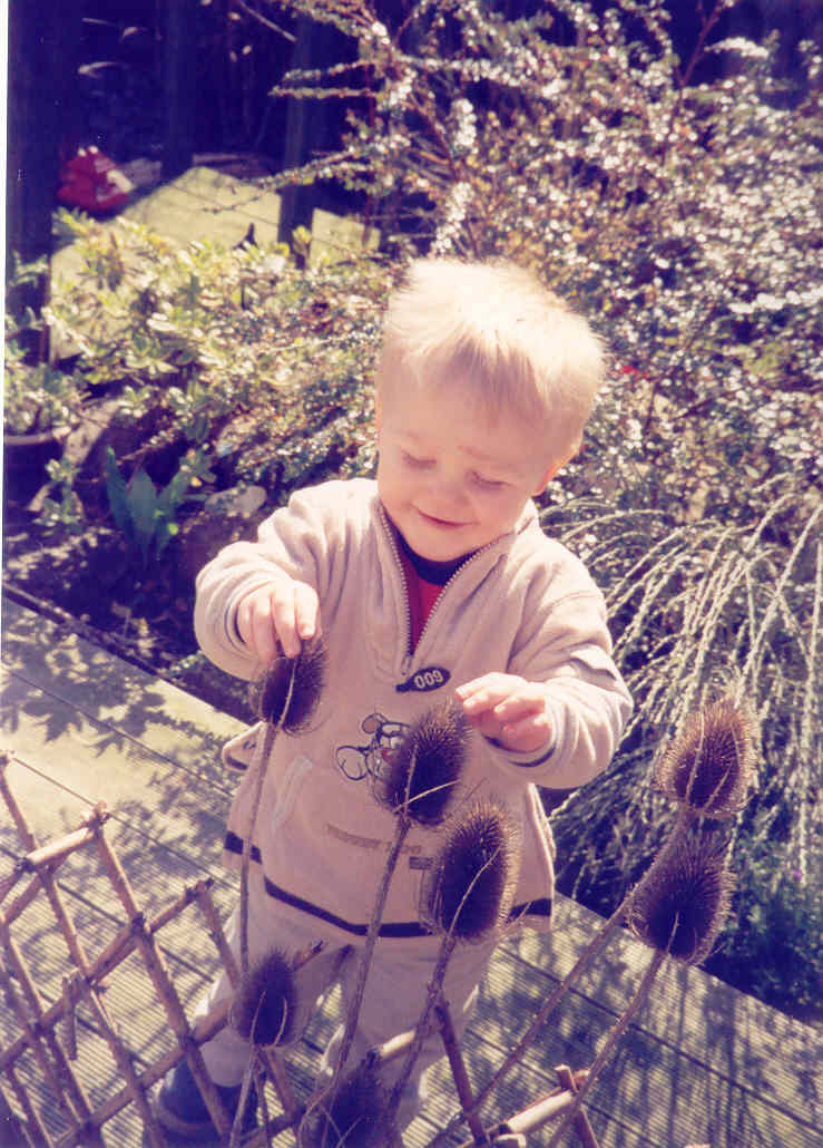 Click now to see this image full size.