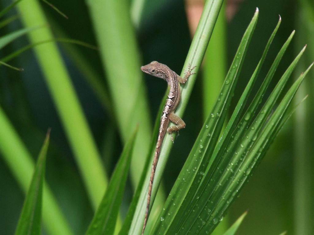 Click now to see this image full size.