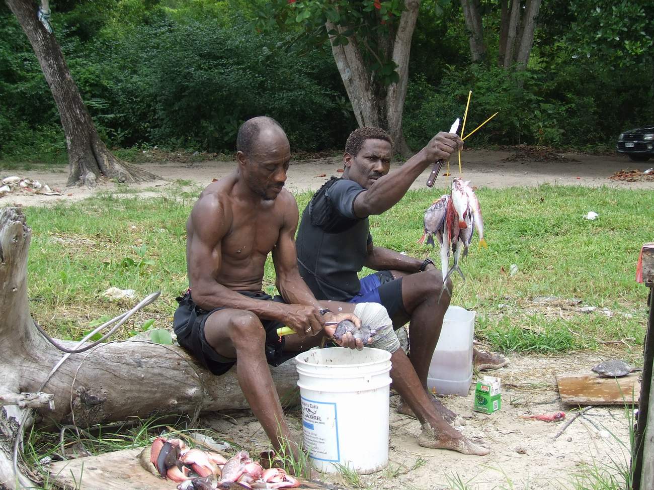 Click now to see this image full size.