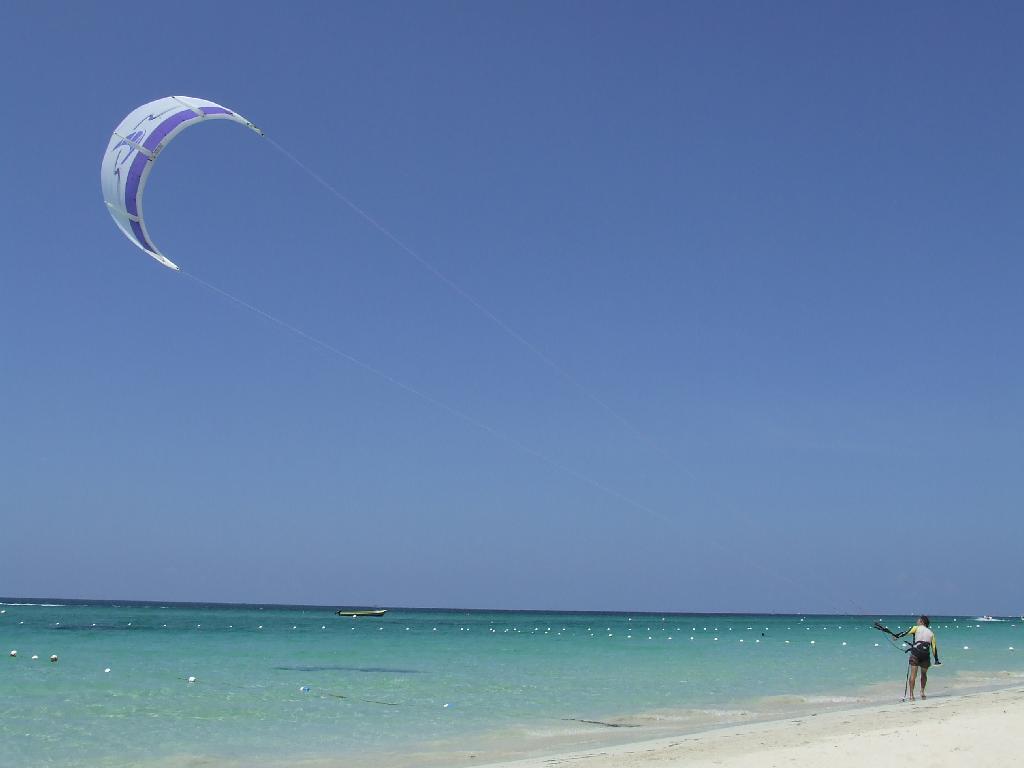 Click now to see this image full size.