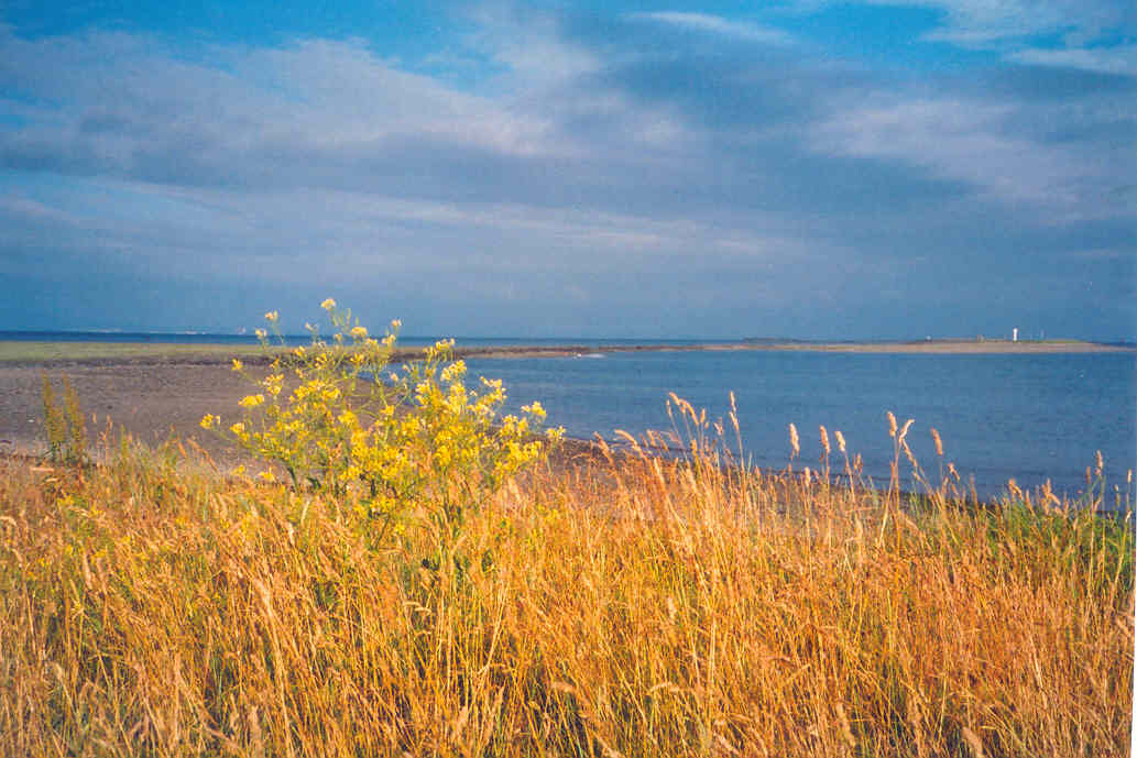 Click now to see this image full size.