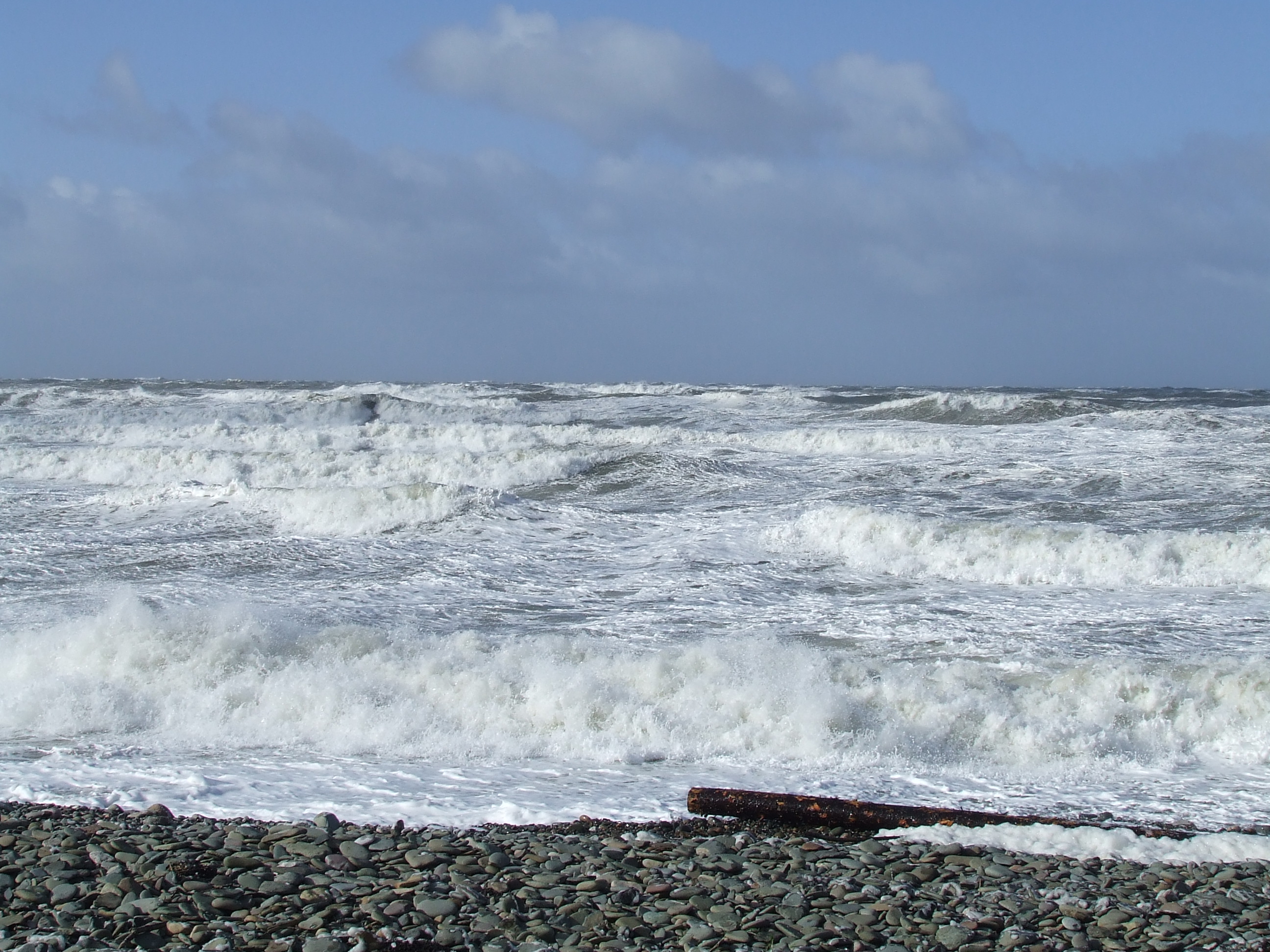 Click now to see this image full size.