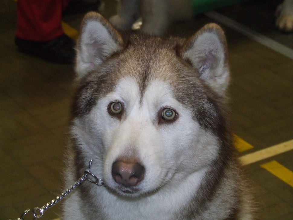 Click now to see this image full size.