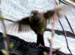 Click now to see this image full size.