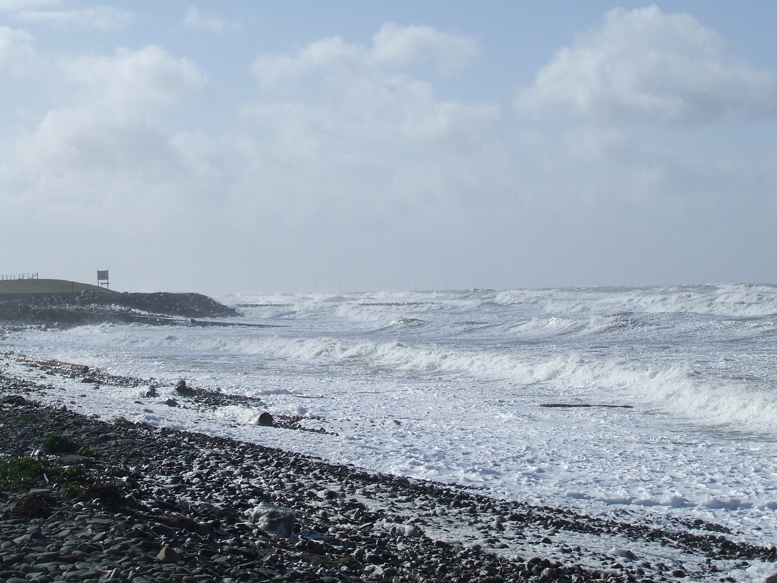 Click now to see this image full size.