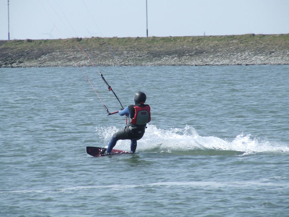 Click now to see this image full size.