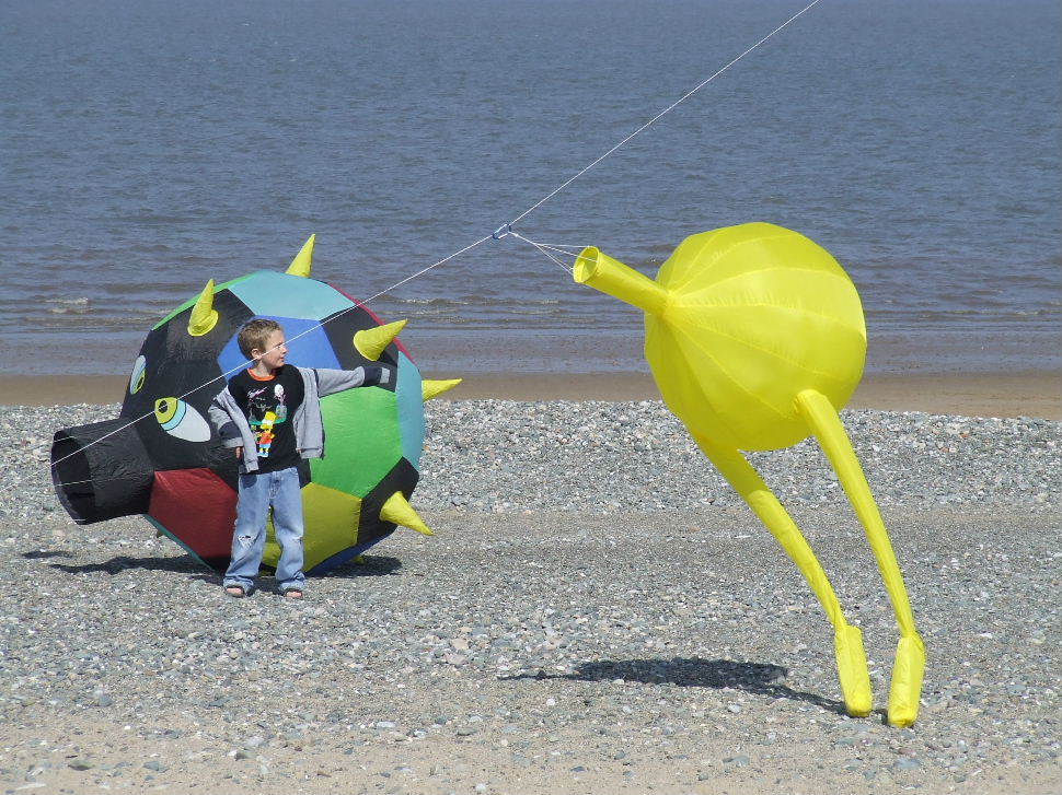 Click now to see this image full size.