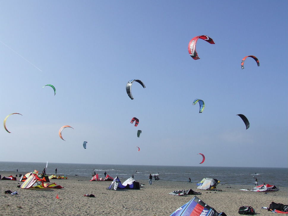 Click now to see this image full size.