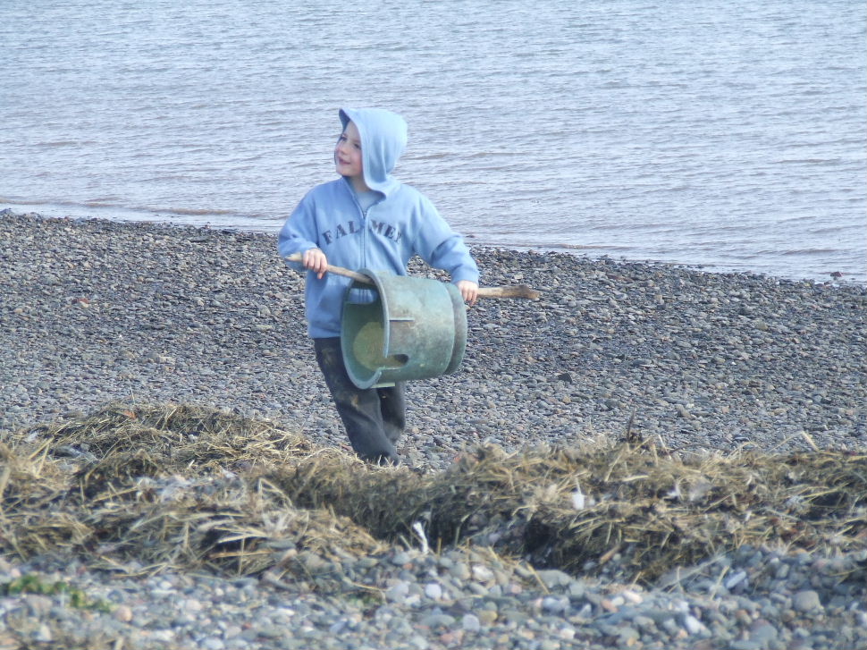 Click now to see this image full size.