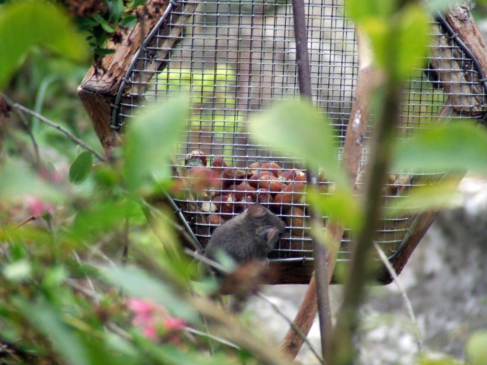 Click now to see this image full size.