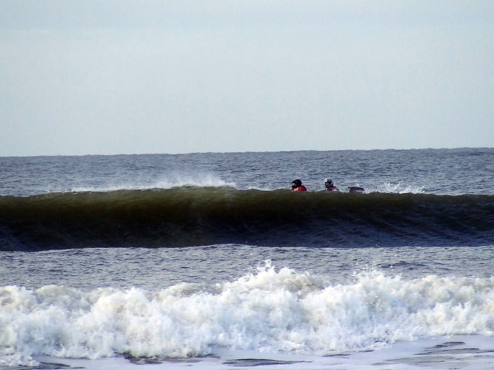 Click now to see this image full size.