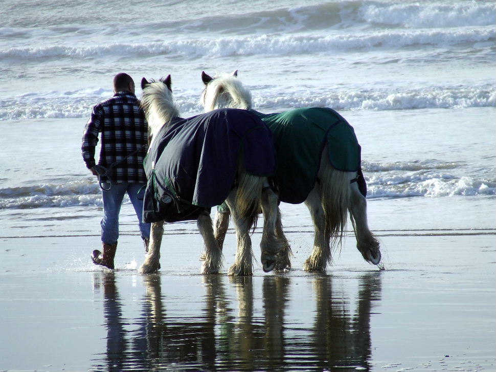 Click now to see this image full size.