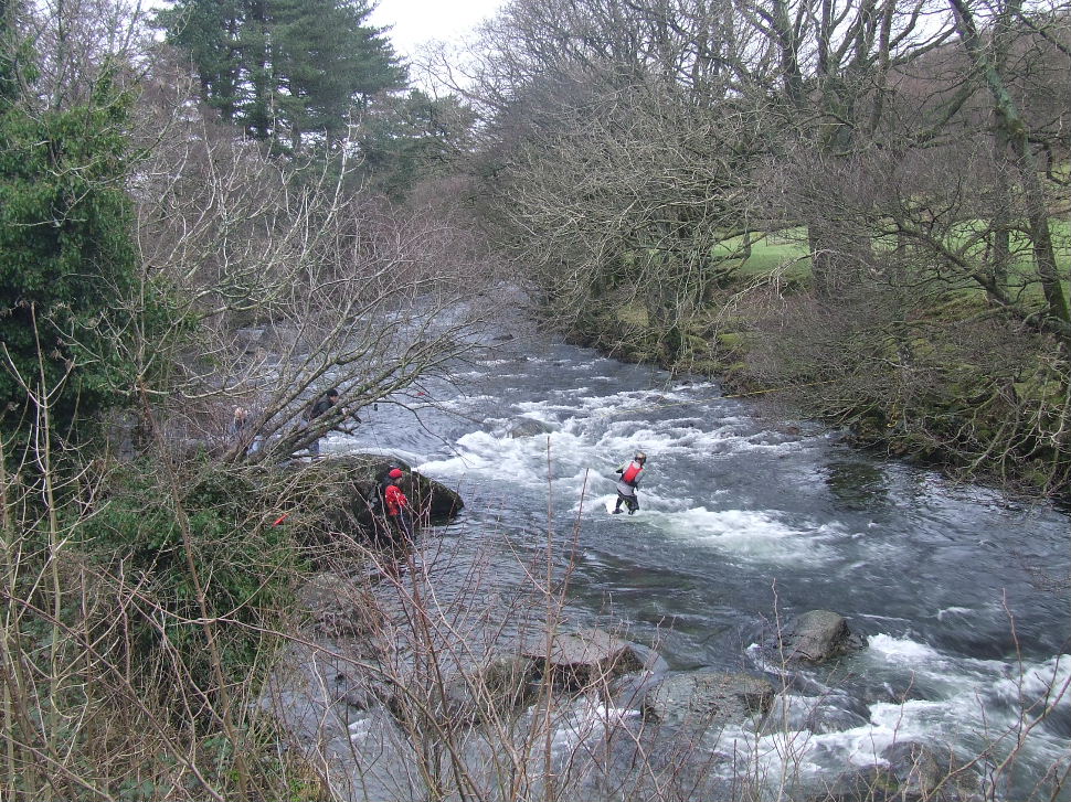 Click now to see this image full size.