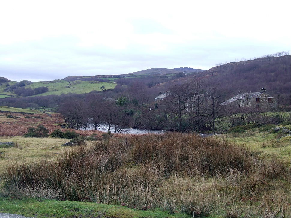 Click now to see this image full size.