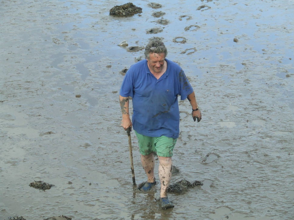 Click now to see this image full size.