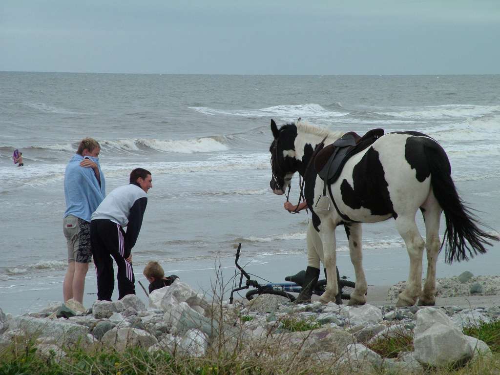 Click now to see this image full size.