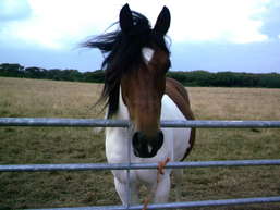 Click now to see this image full size.