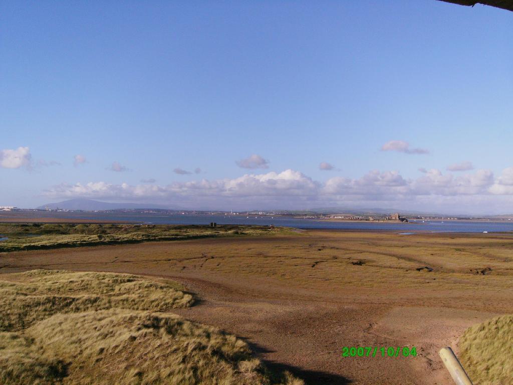 Click now to see this image full size.