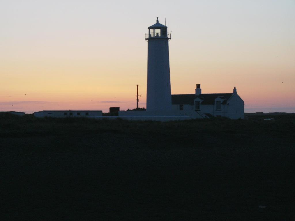 Click now to see this image full size.