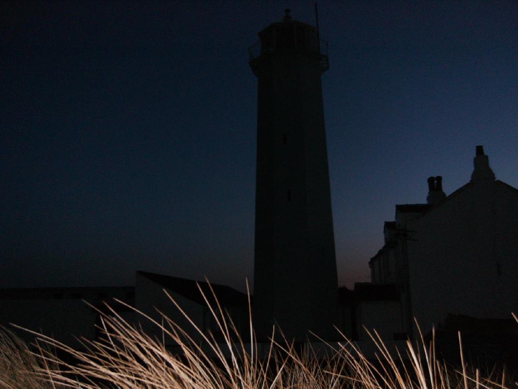 Click now to see this image full size.