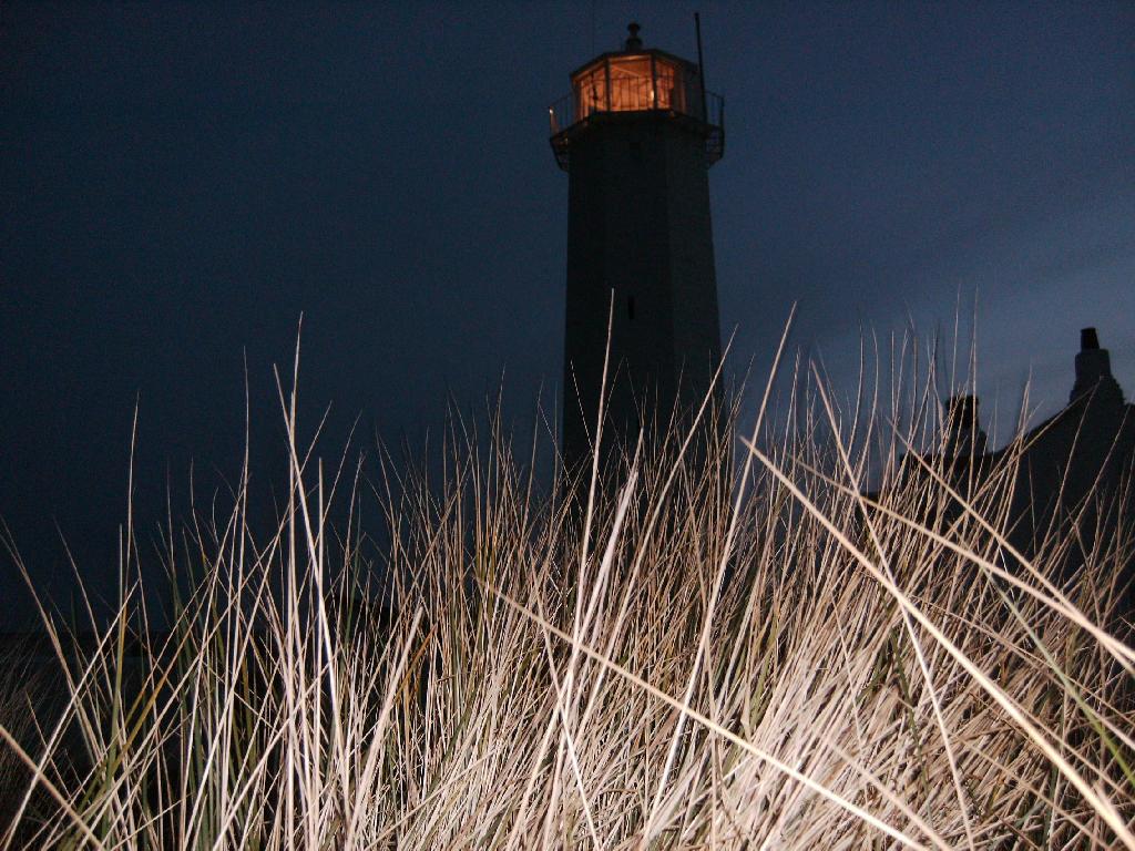 Click now to see this image full size.