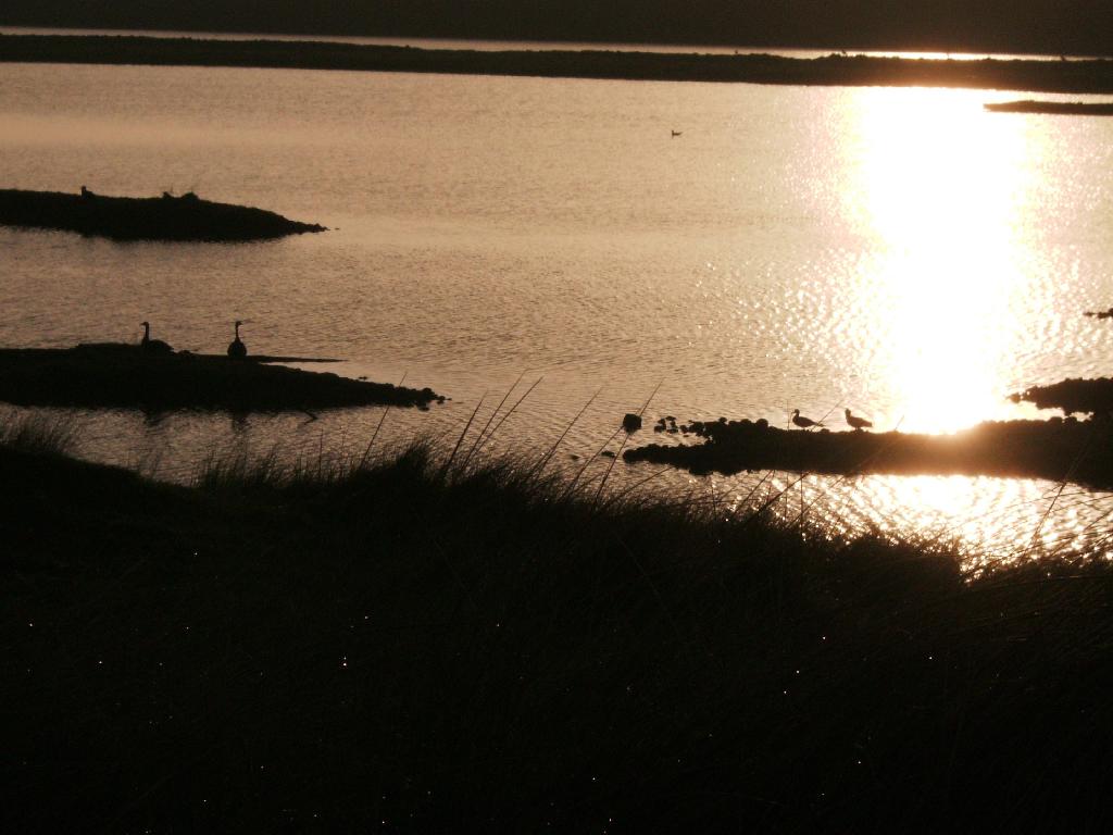 Click now to see this image full size.