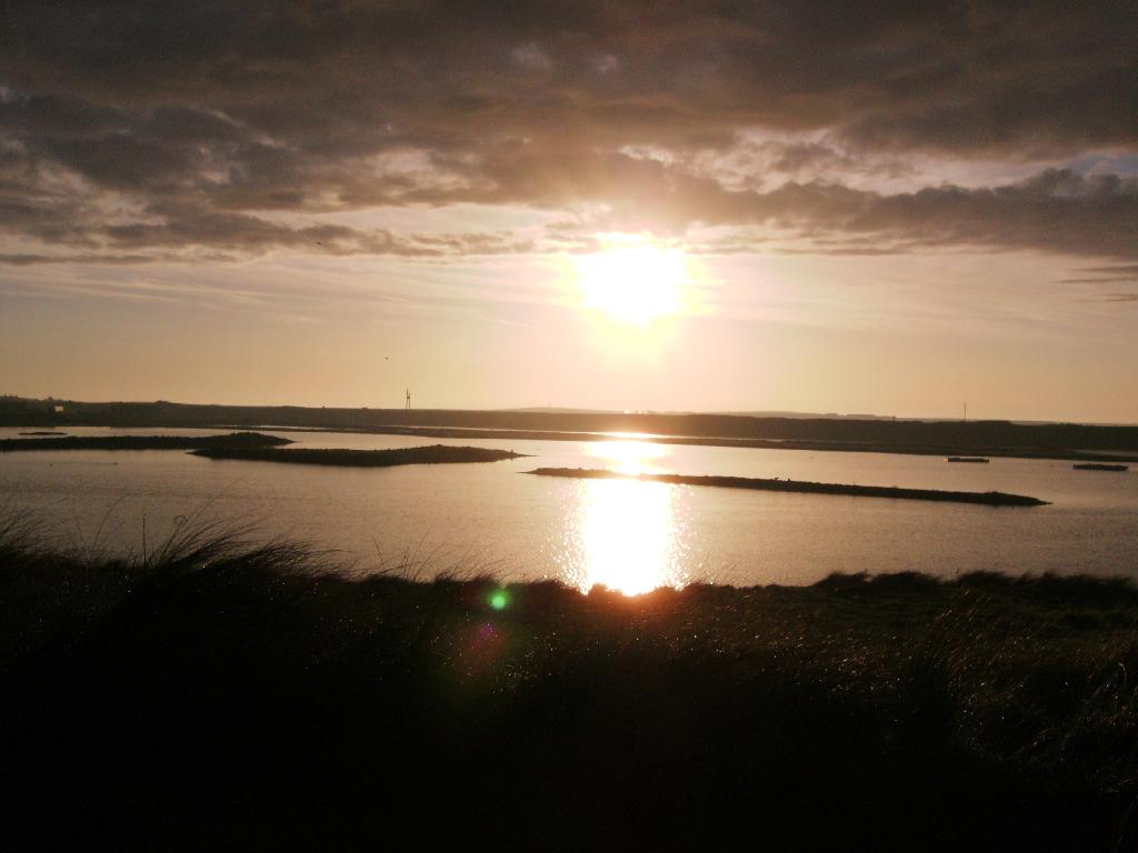 Click now to see this image full size.