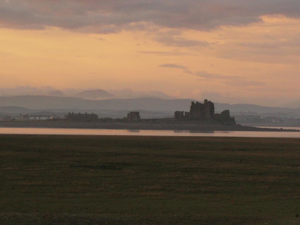 Click now to see this image full size.