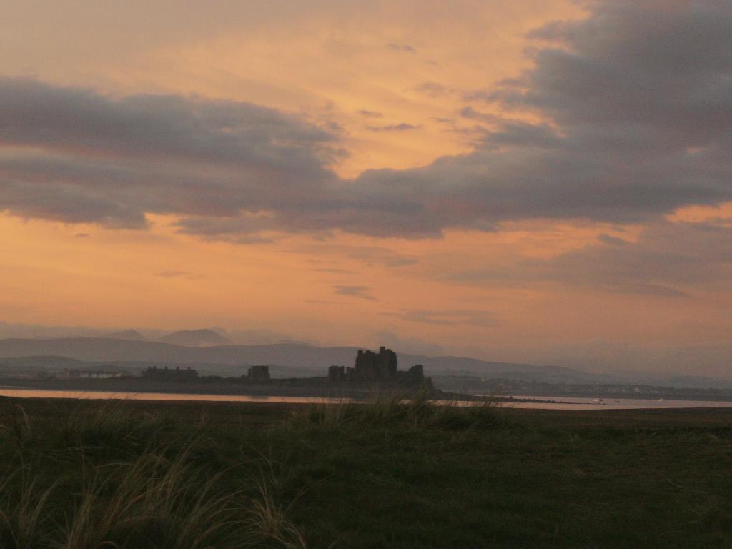 Click now to see this image full size.