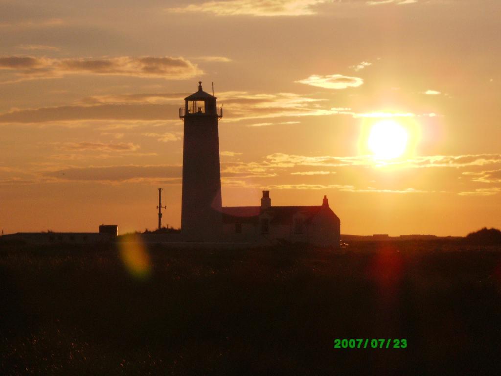 Click now to see this image full size.